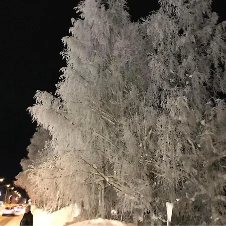 Villa Narikka, Tilava Ja Rauhallinen Kittilaen Keskustassa